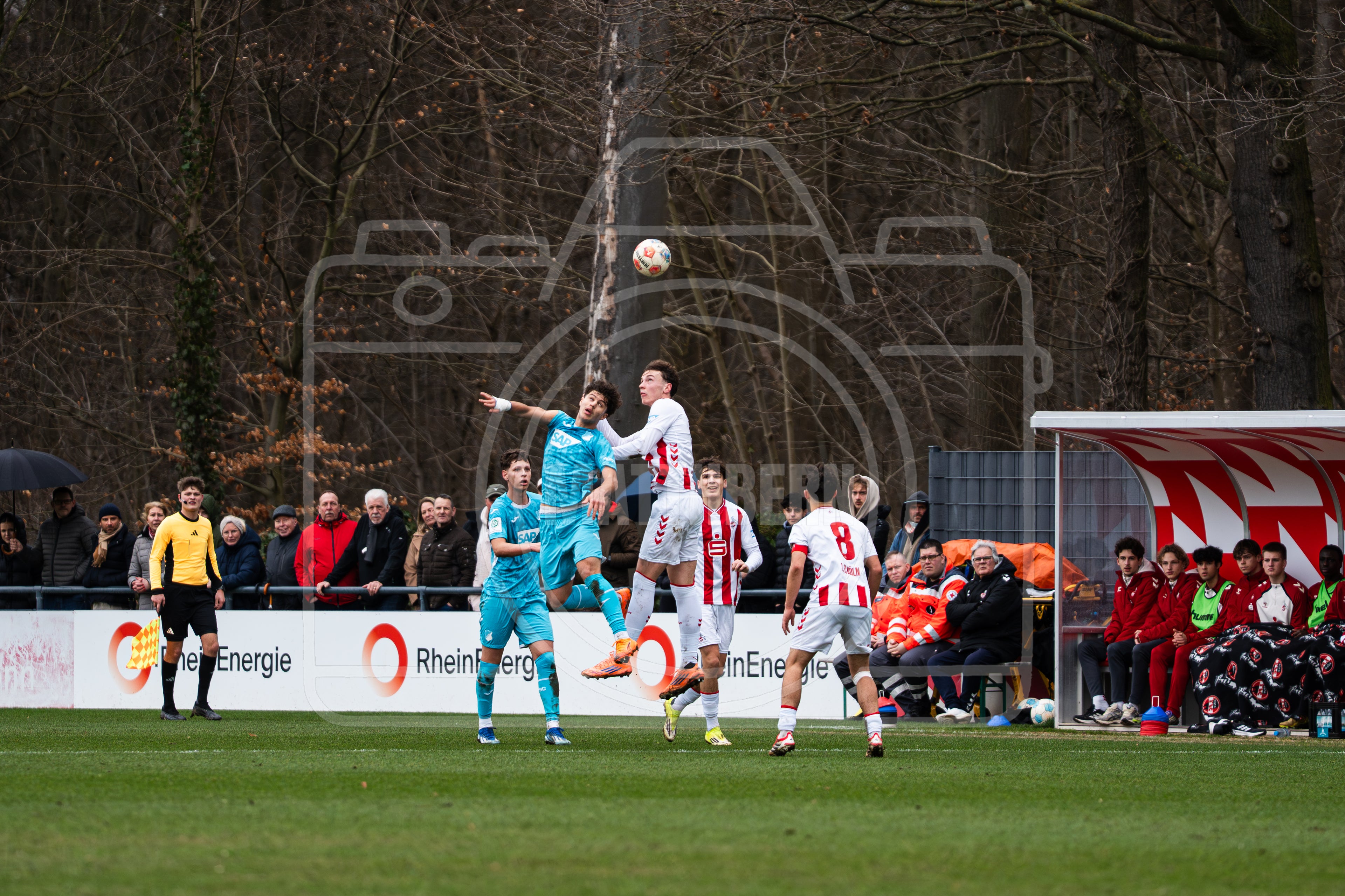 Bild#13 Spiel FC Köln - TSG Hoffenheim U17 | 21.02.2026
