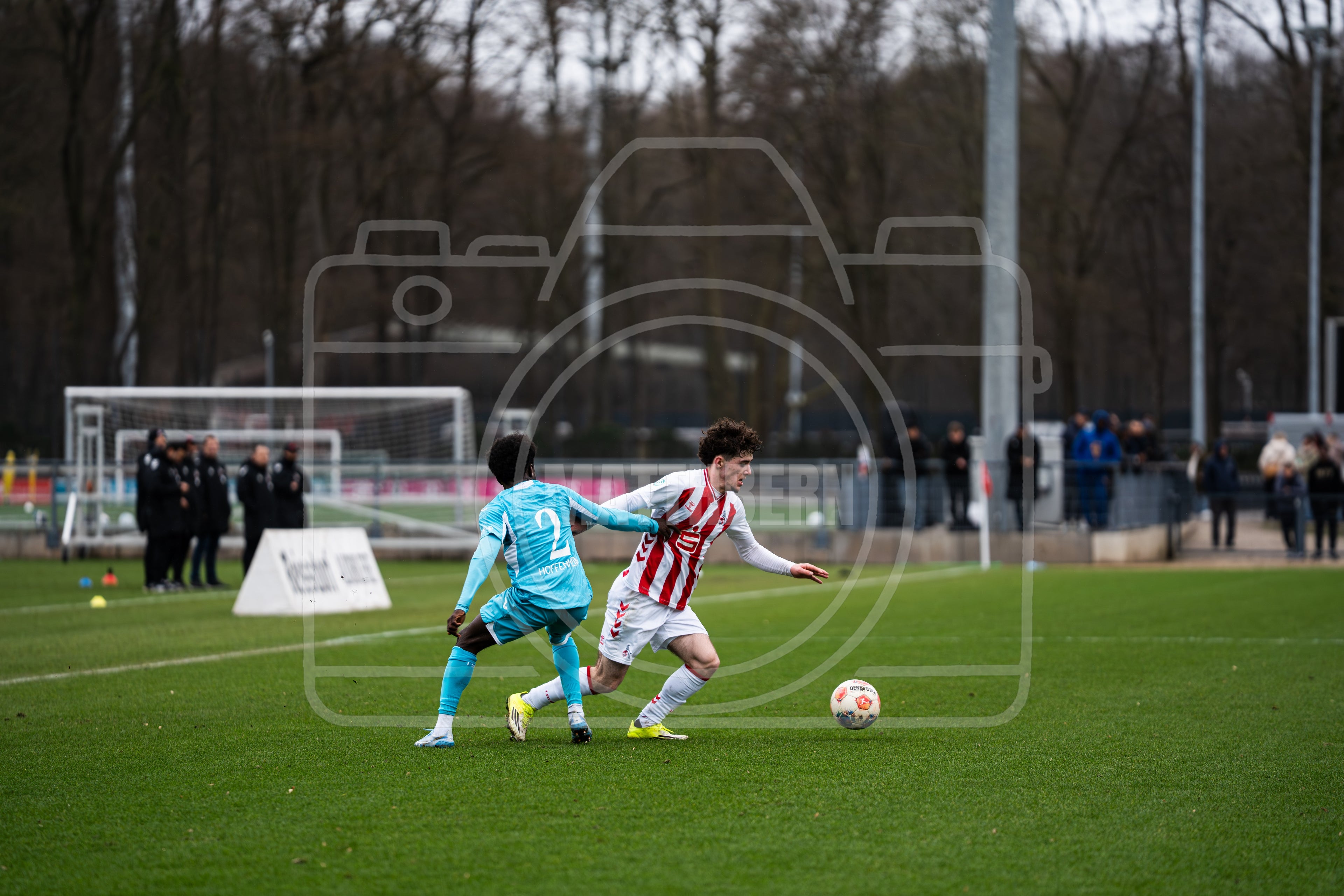 Bild#15 Spiel FC Köln - TSG Hoffenheim U17 | 21.02.2026