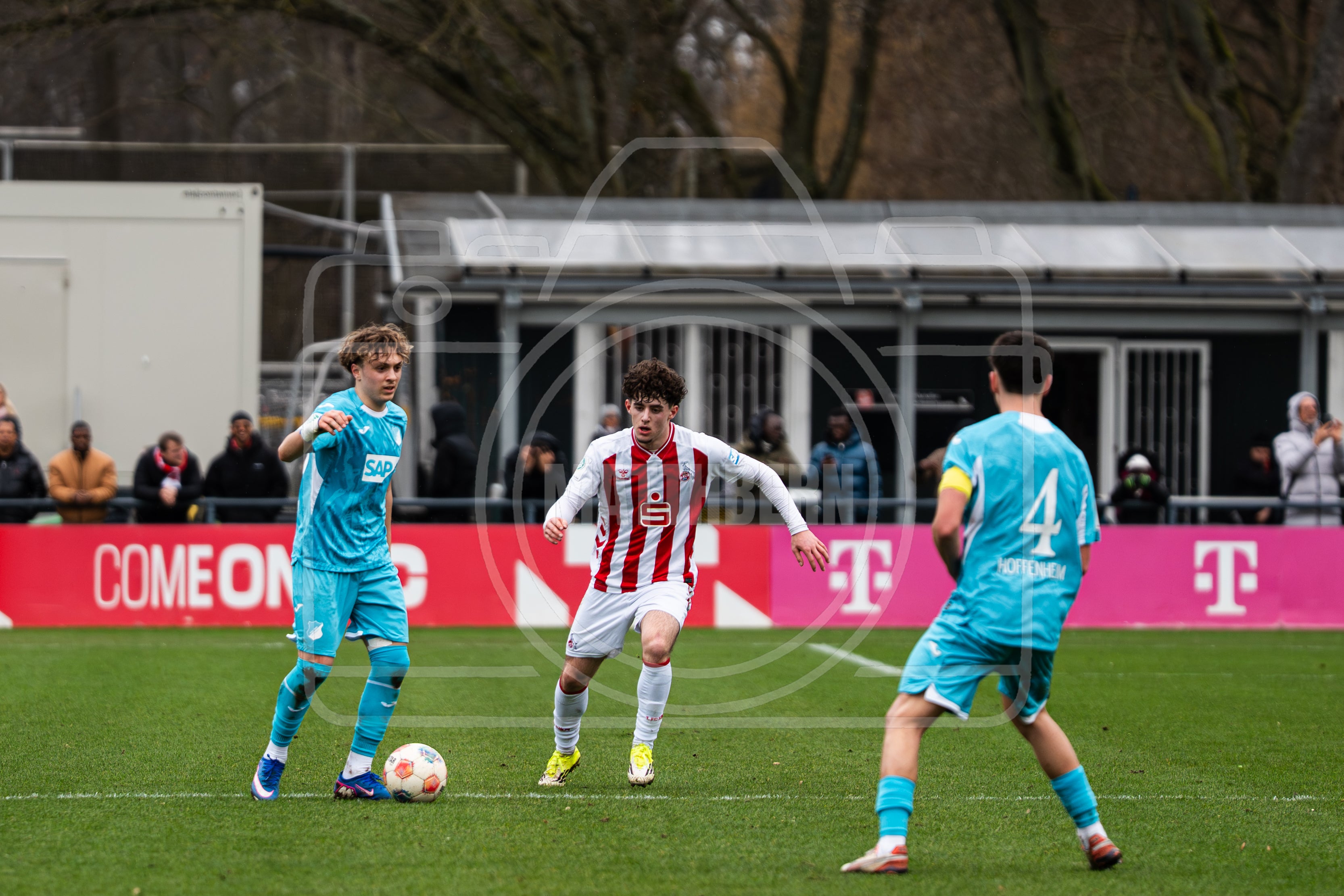 Bild#17 Spiel FC Köln - TSG Hoffenheim U17 | 21.02.2026